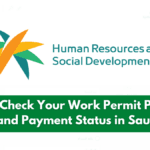 How to Check and Pay the Work Permit Levy or “Maktab Amal Fees”