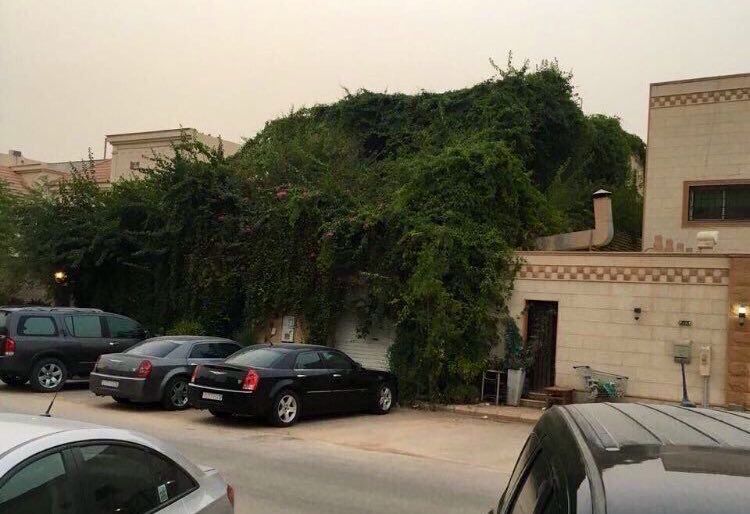 Heat Resistant House in Saudi Arabia