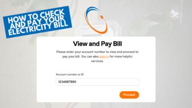 Saudi Electricity Bill Check