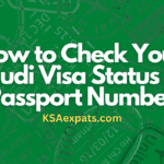 How to Check Your Saudi Arabia Work Visa Status and Details