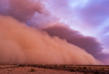 dust storm safety tips