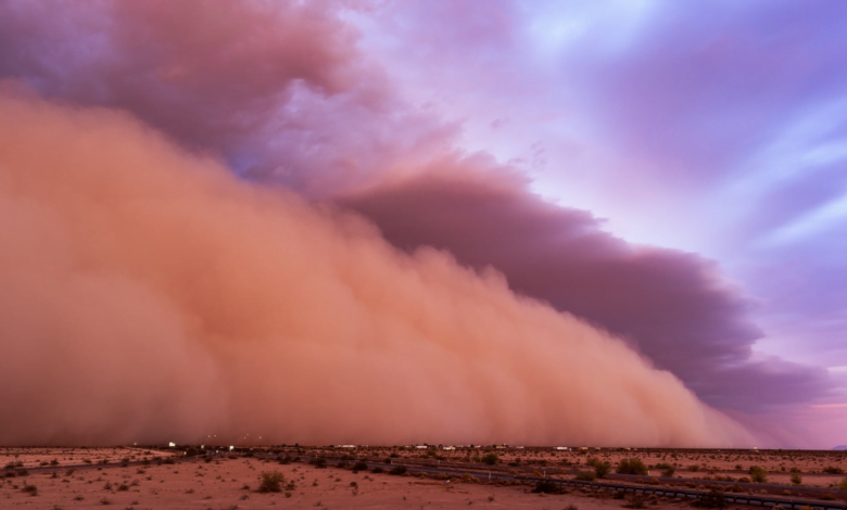 dust storm safety tips