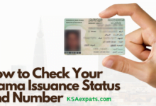How to Check Your Iqama Issuance Status and Number