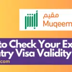How to Check Your Exit Re-Entry Visa Validity