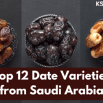 Top 12 Delicious Dates in Saudi Arabia