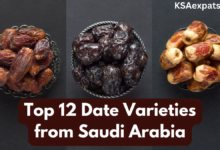 Top 12 Date Varieties from Saudi Arabia