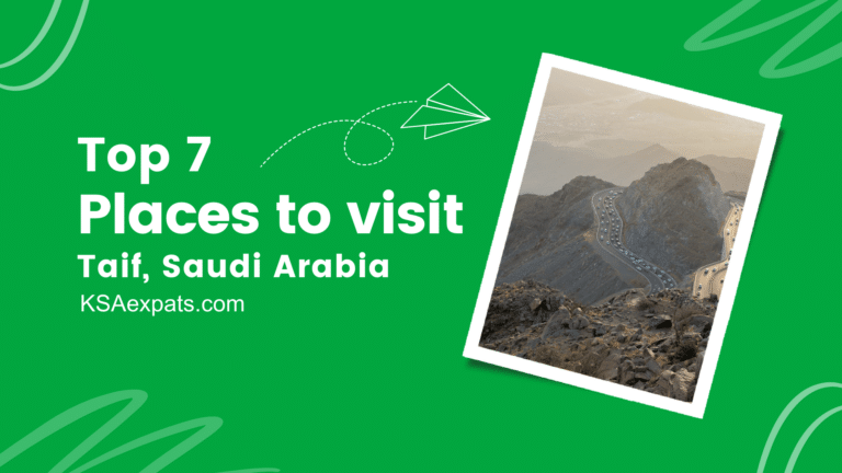 Top 7 Places to Visit in Taif