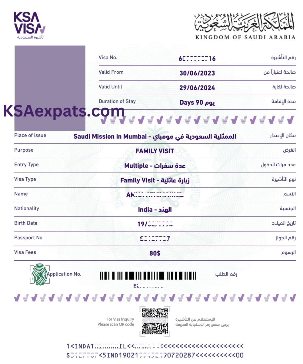 How To Check Your Saudi Visa Status In 2024