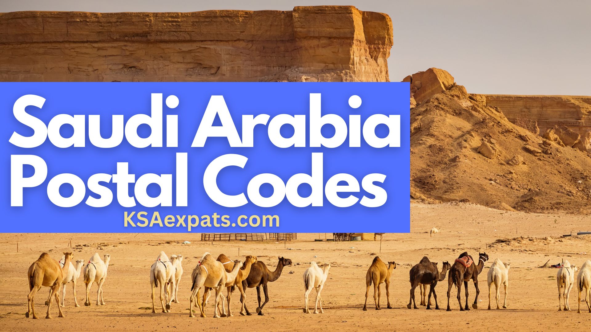 Saudi Arabia PostalZIP Codes 2024