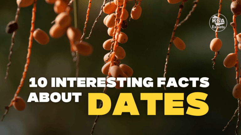 10 Interesting Facts About Dates You Might Not Know