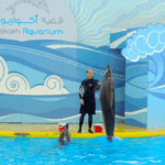 Exploring Fakieh Aquarium in Jeddah: A Journey into the Underwater World